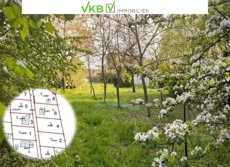 Großzügiges Grundstück guter Lage nähe Gallneukirchen! – Gemeinde Alberndorf in der Riedmark (GST 2438/3)