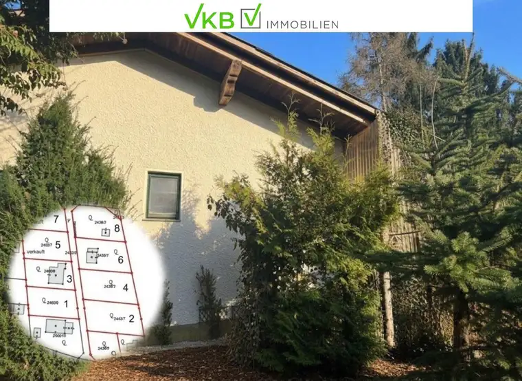 Naturnah &amp; ruhig: Grundstück mit Altbestand in guter Lage nähe Gallneukirchen! - Gemeinde Alberndorf in der Riedmark (GST 2438/1)