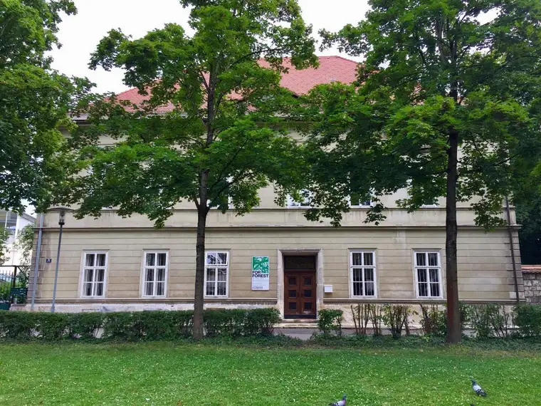 Villa For Forest – Historische Stadtvilla am Ring mit Entwicklungspotenzial