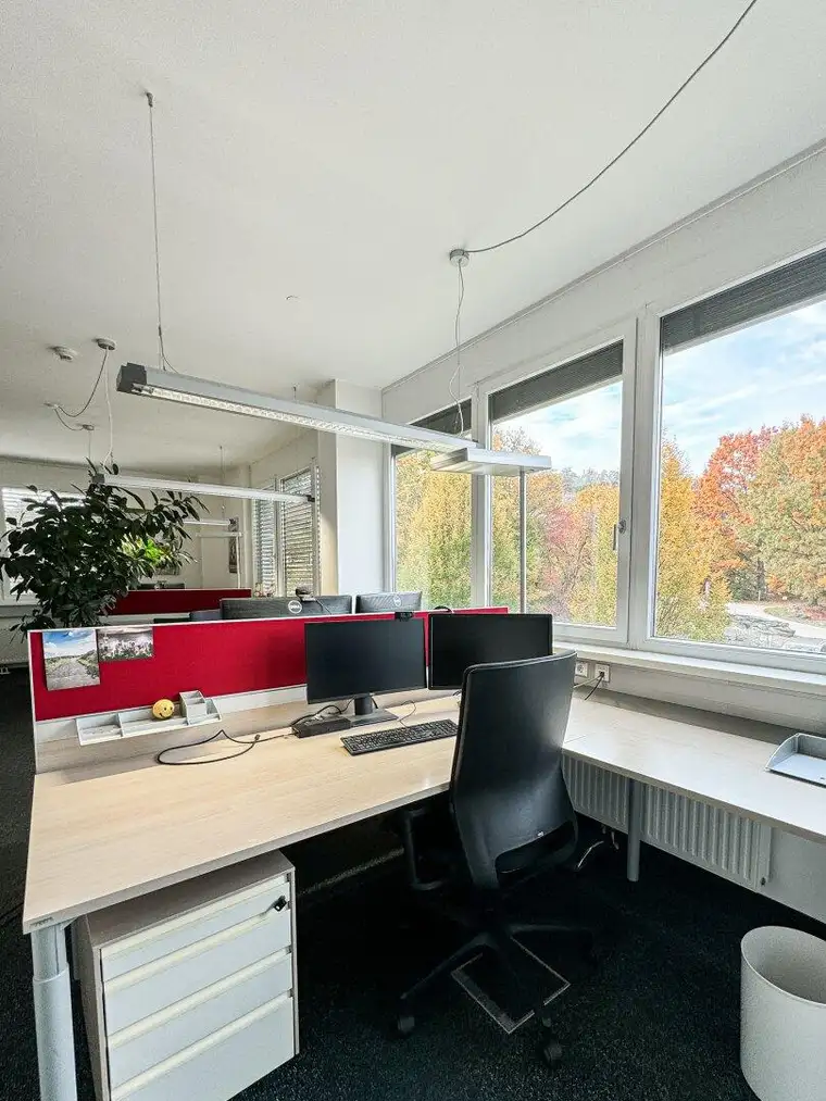 Daniela Grünwald, Riedergarten Immobilien GmbH