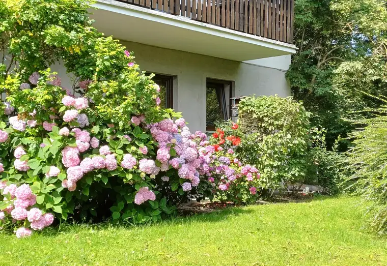3-Zimmer-Wohnung in Seenähe