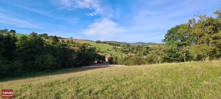 NEUES GRUNDSTÜCK IN BEGEHRTER LAGE! DIREKT IM IRENENTAL!