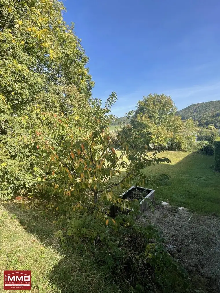 688m2 : Bauland : Meidlinger TOPLAGE (Waldrandlage)