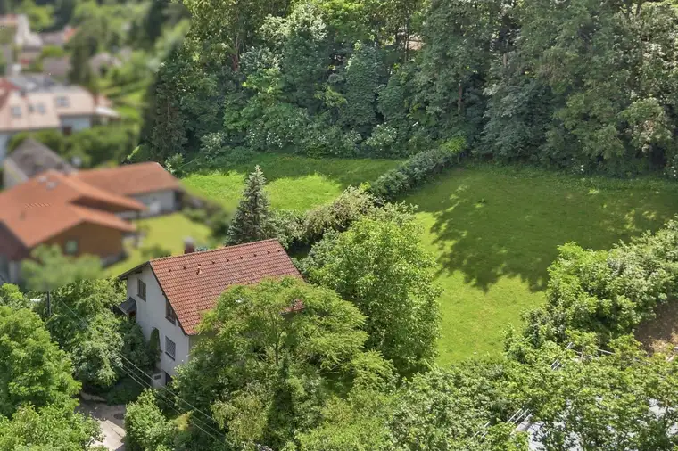 Ruhiges Wohnen mitten im grünen Weidling: Geräumiges 6-Zimmer-Haus mit großem Grundstück