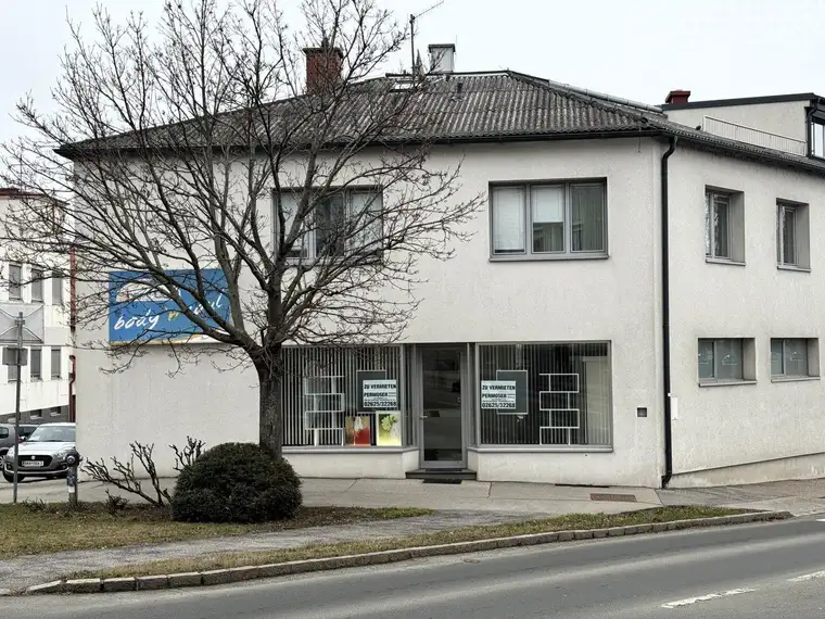 Immobilien Permoser, Immobilien Permoser Ges.m.b.H.