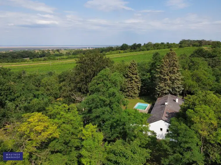Neusiedlersee - Großzügiges Grundstück mit Bungalow in herrlicher Einzellage, oberhalb von Rust!