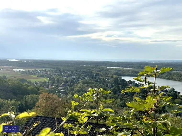 Donaublick traumhaft - Wochenendhaus mit fantastischen Ausblick über die Donauauen und in das Weinviertel!