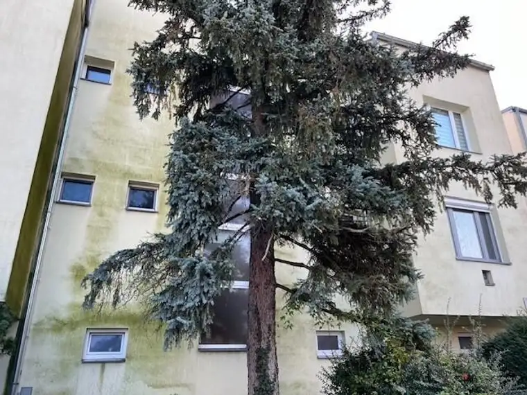Bezugsfertige 3 Zimmerwohnung mit Balkon