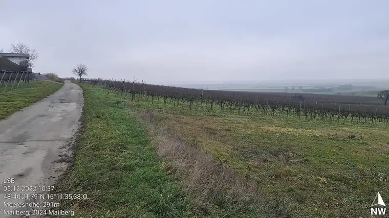 Ackerfläche für Weinbau