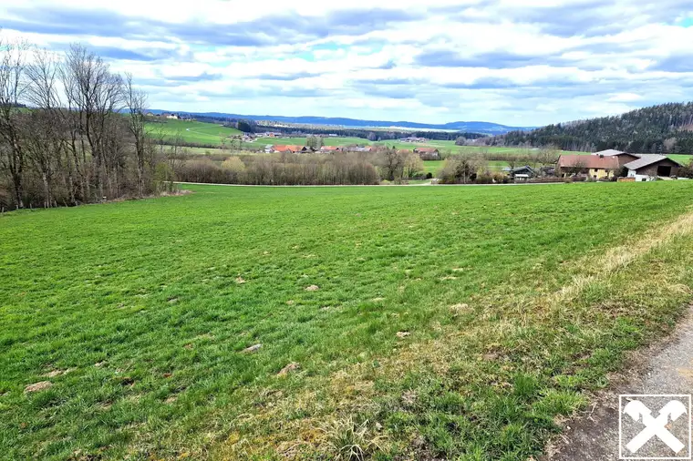 Landwirtschaftliche Nutzfläche in Oberholz