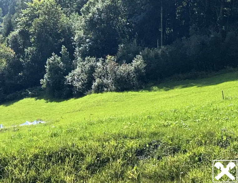 Baugrundstück in Sonnenlage