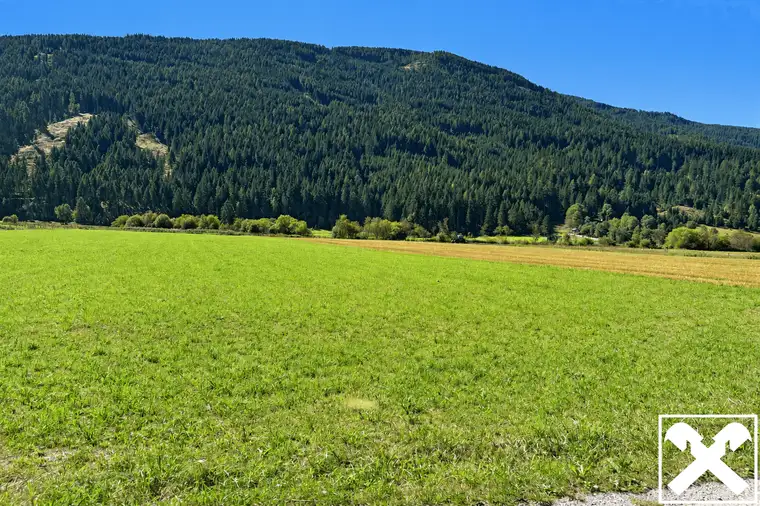 Landwirtschaftliches Grundstück mit TOP Bonität
