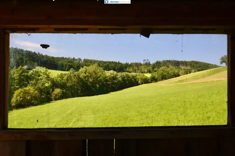 Vierkanthof mit liebevollen großen Garten in Ruhelage