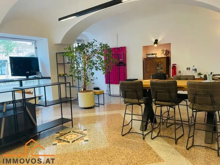***REPRÄSENTATIVE BÜRO- / GESCHÄFTSFLÄCHE - SCHÖNBRUNN-NÄHE***