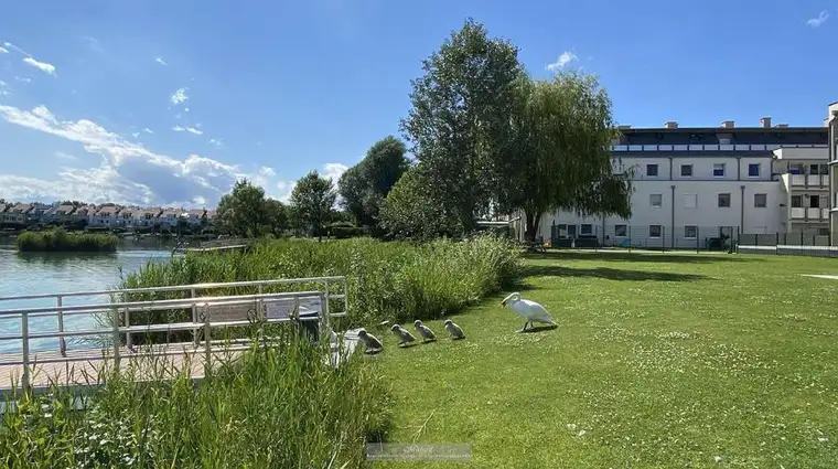 **URLAUBSFEELING INKLUSIVE** SEEPARK VÖSENDORF – LUXURIÖSE, HOCHWERTIG AUSGESTATTETE 2 ZIMMER TERRASSENWOHNUNG