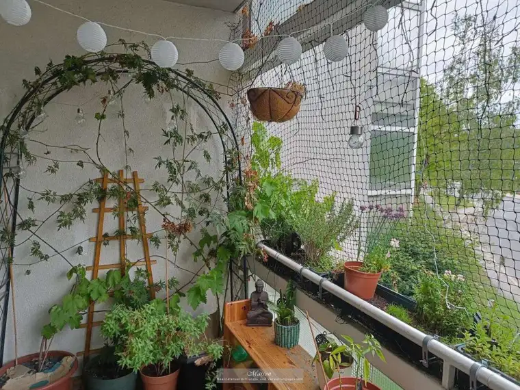 3-ZIMMER EIGENTUM MIT LOGGIA NÄHE SCHLOSS LAUDON – IHR NEUES ZUHAUSE!