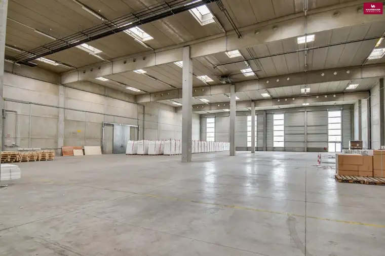 Halle, Lager, Hochregallager inkl. Rampe- 1270 m2 in Wr. Neudorf