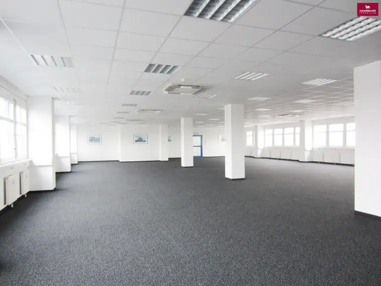 Lagerhalle 860 m2 + Büro 340 m2 Kombination südlich von Wien in Wr. Neudorf