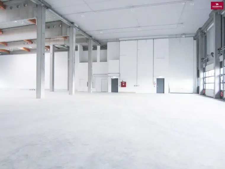Lagerhalle 430 m2 + Büro 230 m2 Kombination südlich von Wien, in Wr. Neudorf