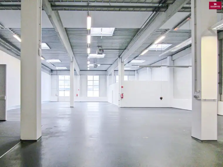 Lagerhalle 650 m2 + Büro 300 m2 Kombination südlich von Wien, in Wr. Neudorf