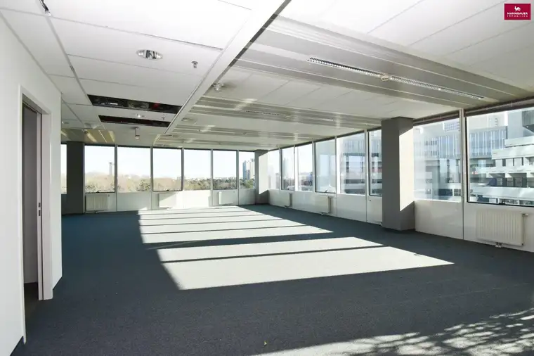 Moderne Bürofläche 1102 m2 in Wien bei UNO City zu mieten