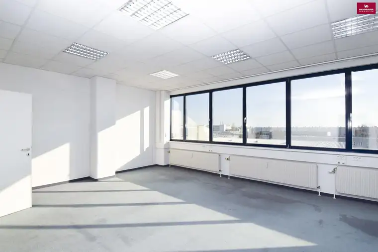 Geräumiges 789 m2 Büro in 1230 Wien zu mieten