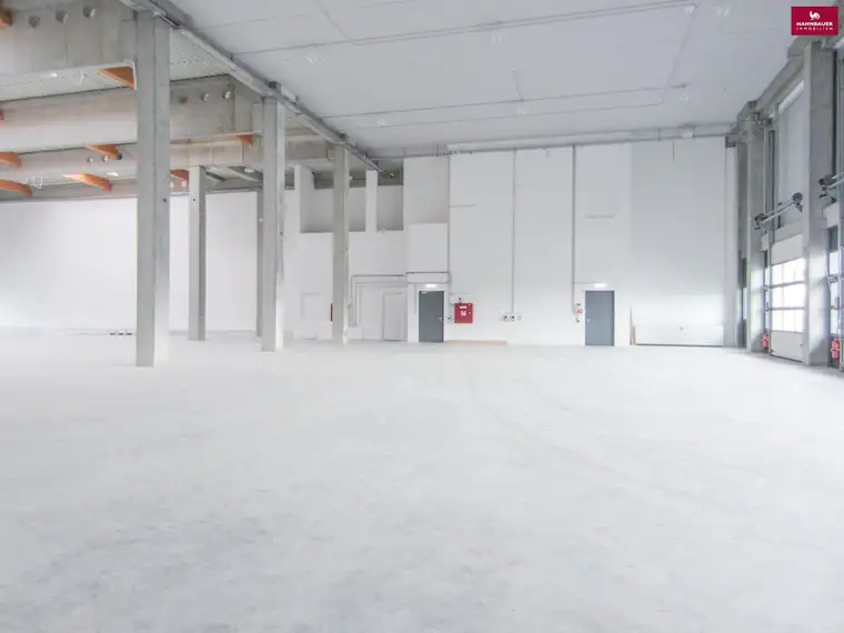 Lagerhalle 560 m2 mit Büro 80 m2 Kombination südlich von Wien, in Wr. Neudorf