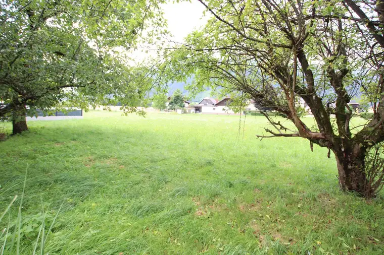 Altes Bauernhaus mit 9.782m² Grund und traumhafter Aussicht - Klagenfurt Land