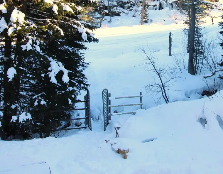 Turracher Höhe- Natur Pur genießen - Almhütte/Berghütte - Skifahren - Wandern in absoluter Traumlage