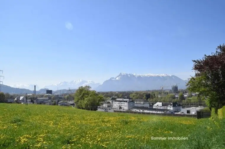 Romana Sommer, Sommer Immobilien Konzessionierte Immobilienkanzlei