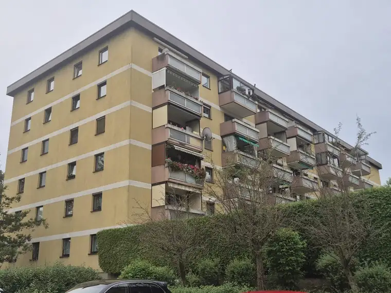 Romana Sommer, Sommer Immobilien Konzessionierte Immobilienkanzlei