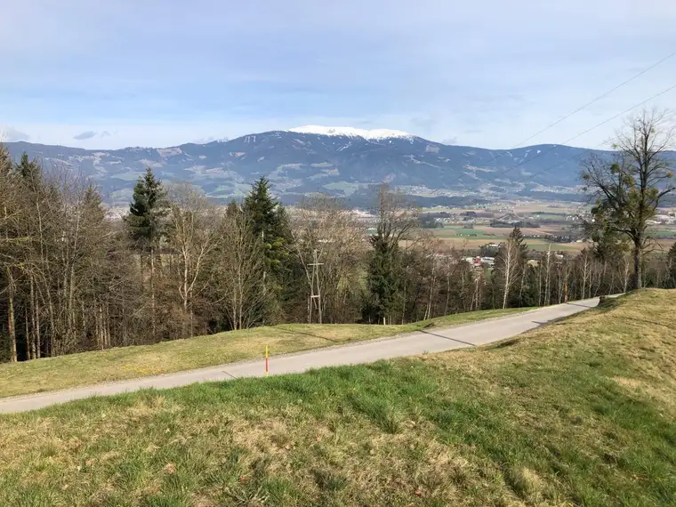 GRUNDSTÜCK IN HANGLAGE MIT FANTASTISCHEN AUSBLICK - KEINE BAUVERPFLICHTUNG !