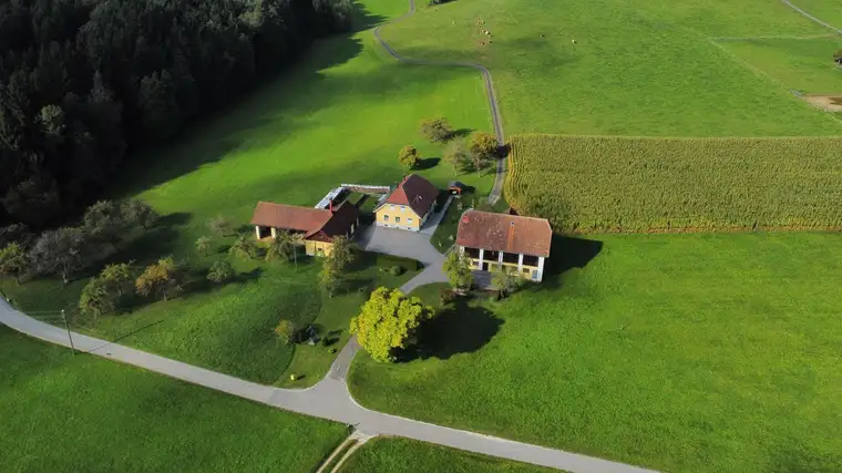 Bezaubernde Hofstelle in Thürn bei Wolfsberg!