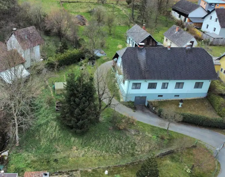 Geräumiges Haus mit großem Grundstück und Nebengebäude!