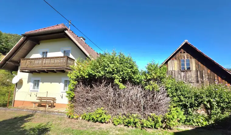 Landwirtschaftliche Fläche mit EFH und Nebengebäude, geeignet für Pferde/Schafe mit 3.912m² Grundstück zu verkaufen!