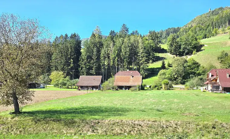Landwirtschaftliche Fläche mit EFH und Nebengebäude, geeignet für Pferde/Schafe mit 3.912m² Grundstück zu verkaufen!