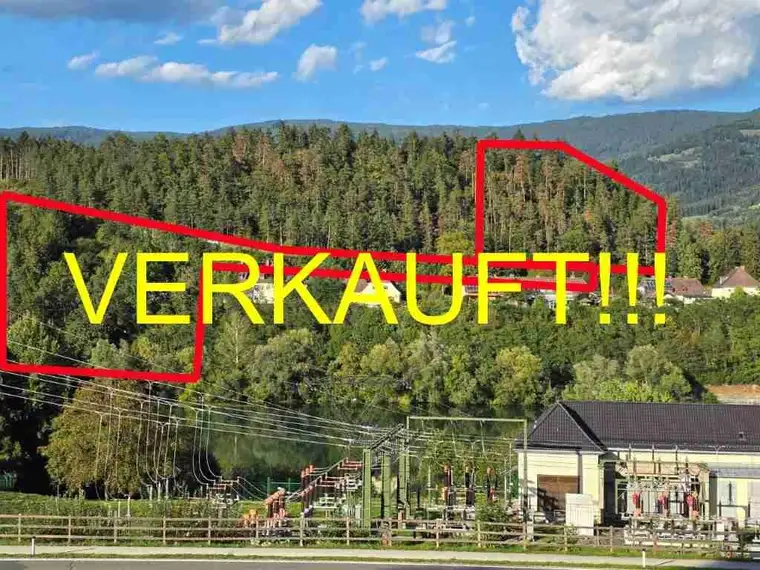 2 Waldstücke auf der Watzing stehen zum Verkauf!