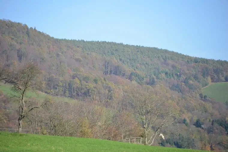 Ungewöhnlicher Baugrund mit Freiland ca. 600 m², Wochenendhütte, nahe Schöckelstraße