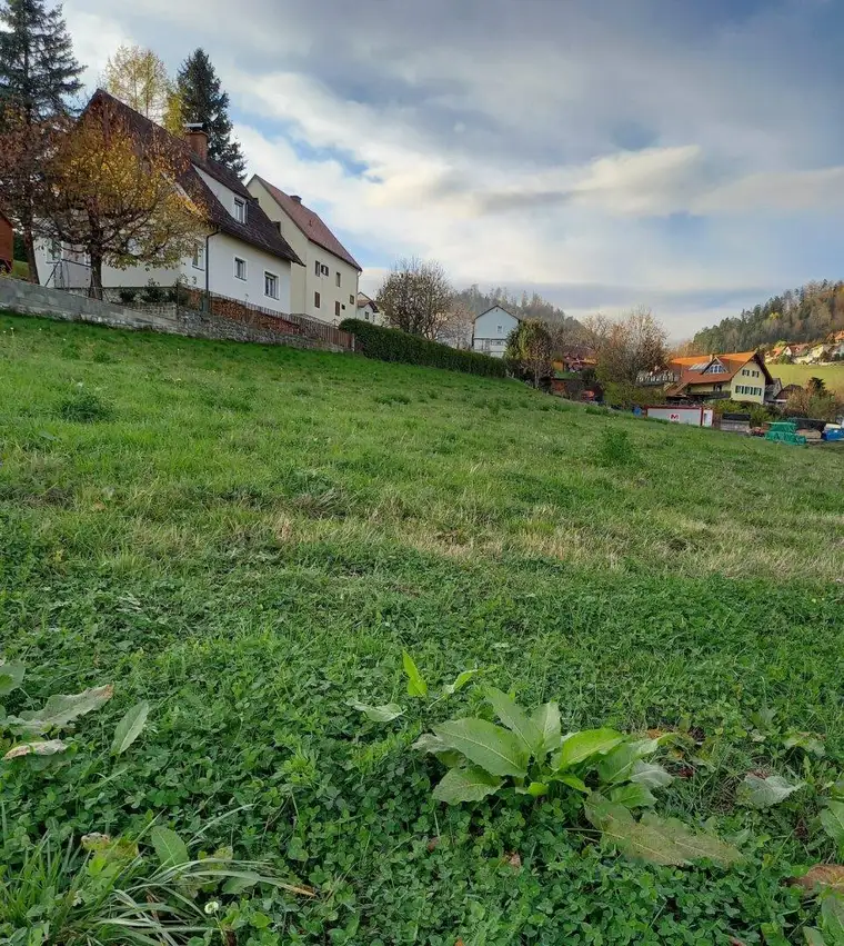 Köflach! Baugrund voll aufgeschlossen in ruhiger und sehr schöner Lage!