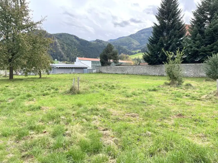Grundstück, Mautern , Top Lage im Ortskern ,1845 m²  , Widmung 0,5-2,0