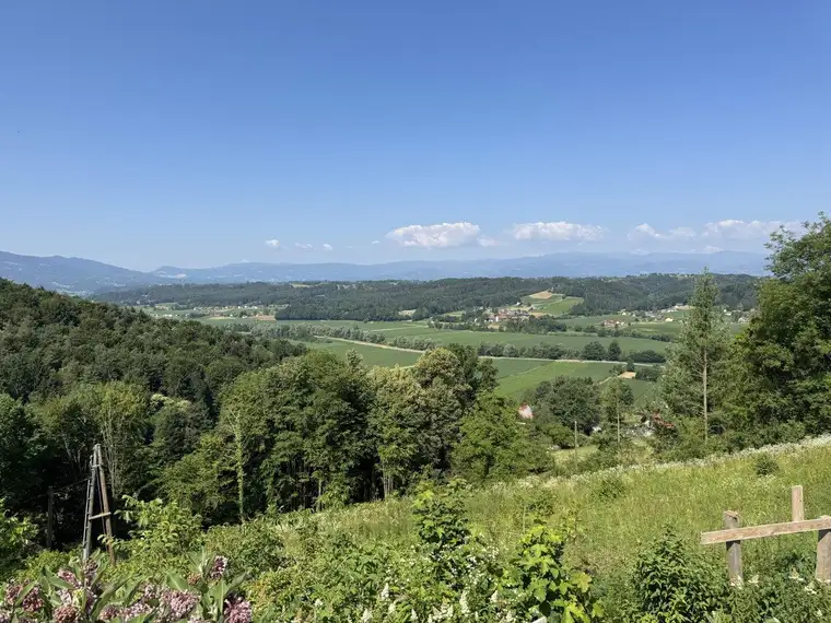 Exklusives Chalet in St. Johann i. Saggautal-Eichberg – Traumlage mit Infinity-Pool und Panoramablick, Neubau