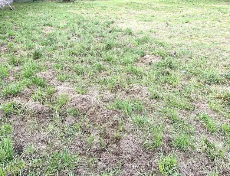 Ruhiges Baugrundstück in perfekter Lage – Gössendorf Ideal für Anleger, Bauträger und Gewerbetreibende