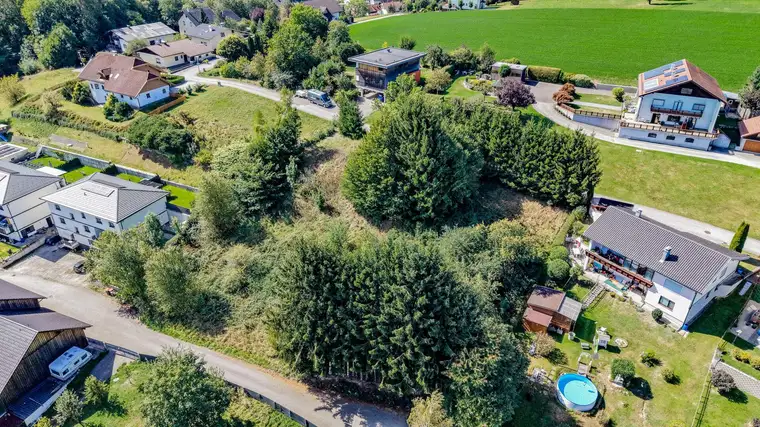 Grünes Umfeld, große Möglichkeiten