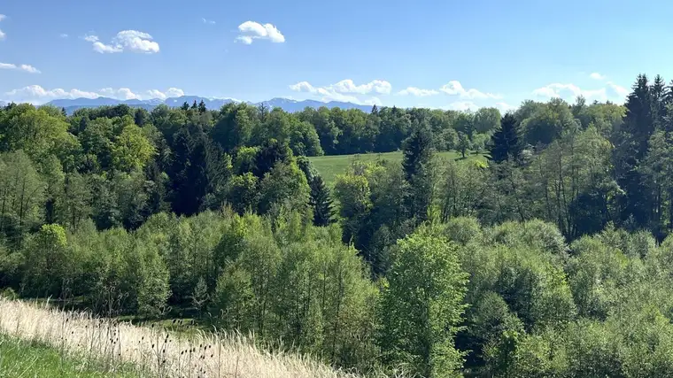 Exklusives Wohnen im WOHNPARK AM POSCHENHOF