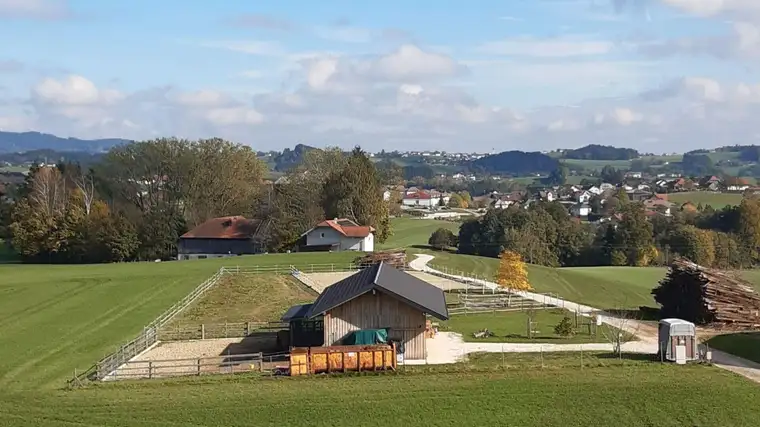 Reitplatz mit Stallgebäude – Ihr Traum vom eigenen Pferdeparadies