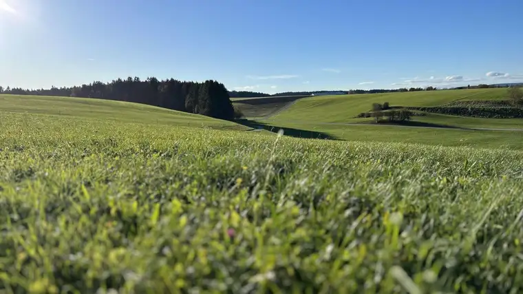 Natur trifft Lebensqualität