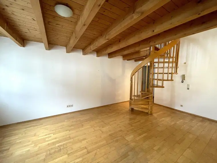 Doga Sevim, DOMUS IMMOBILIEN KG
