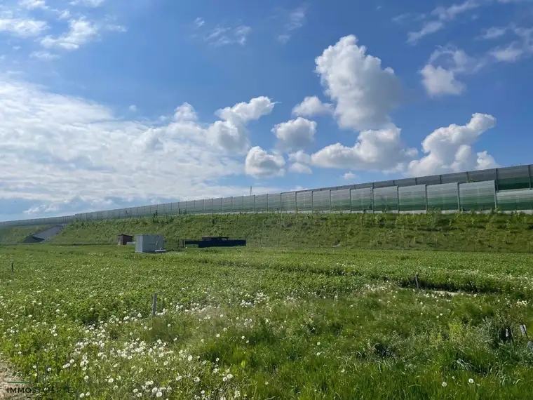 KLEINGARTENGRUNDSTÜCK in Wieselburg / Petzenkirchen zu mieten!