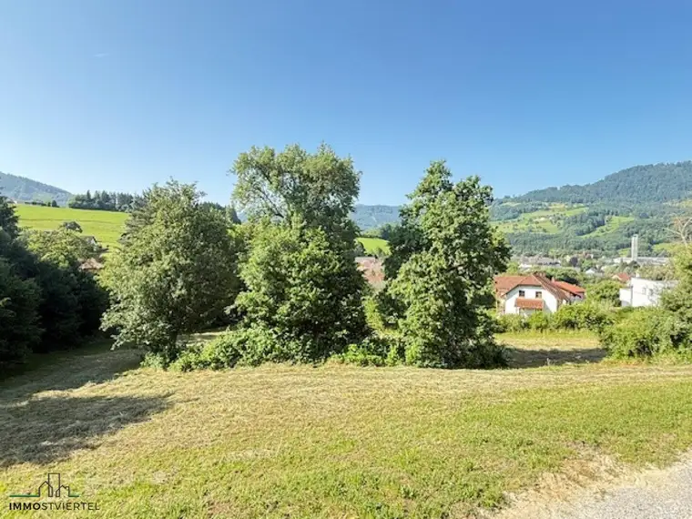 Baugrund in ruhiger neuer Siedlungslage in Scheibbs mit verlängerten Bauzwang!! PROVISIONSFREI!