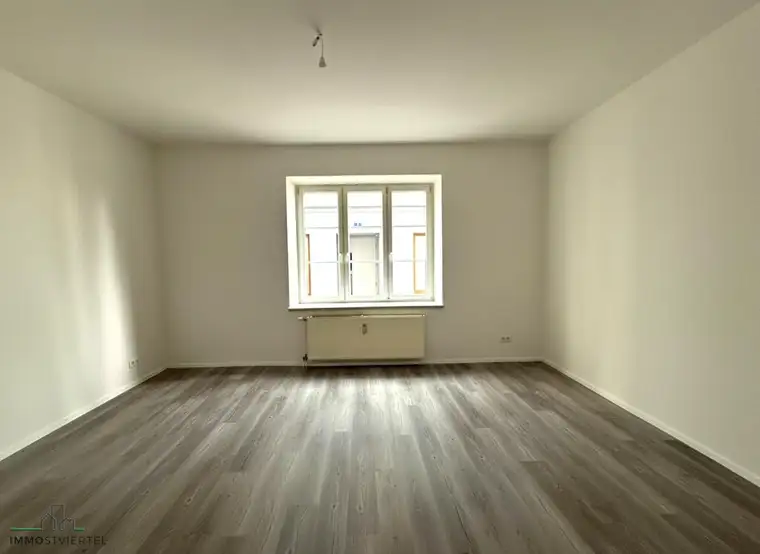 Schöne Singlewohnung in der Ybbser Altstadt!